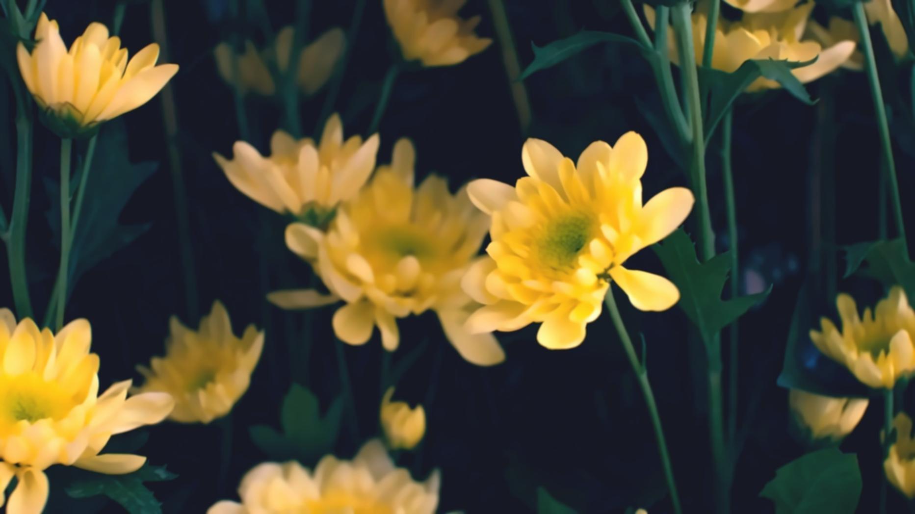 Asymmetrical spring bouquet with unexpected texture combinations